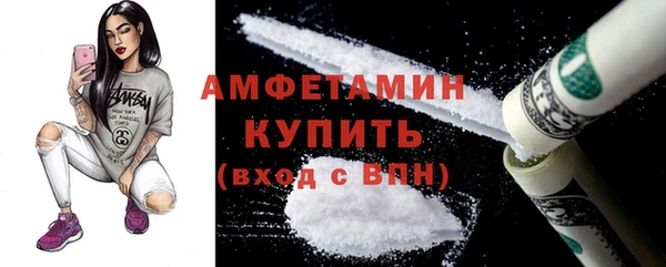 шишки Алексин