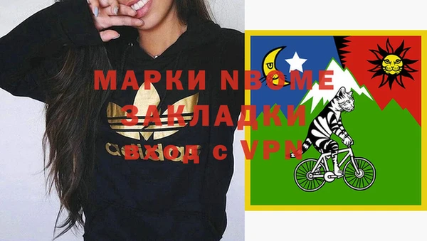 шишки Алексин