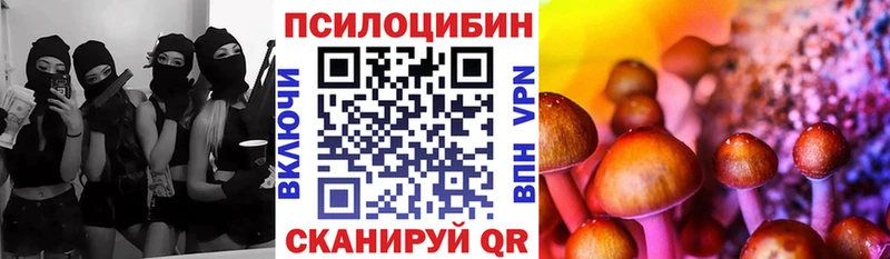 Псилоцибиновые грибы мицелий  Йошкар-Ола 